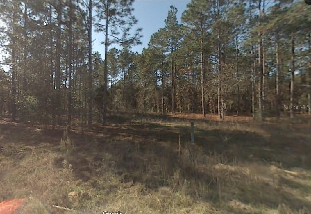 0 SW 159TH RD, OCALA, FL, 34481