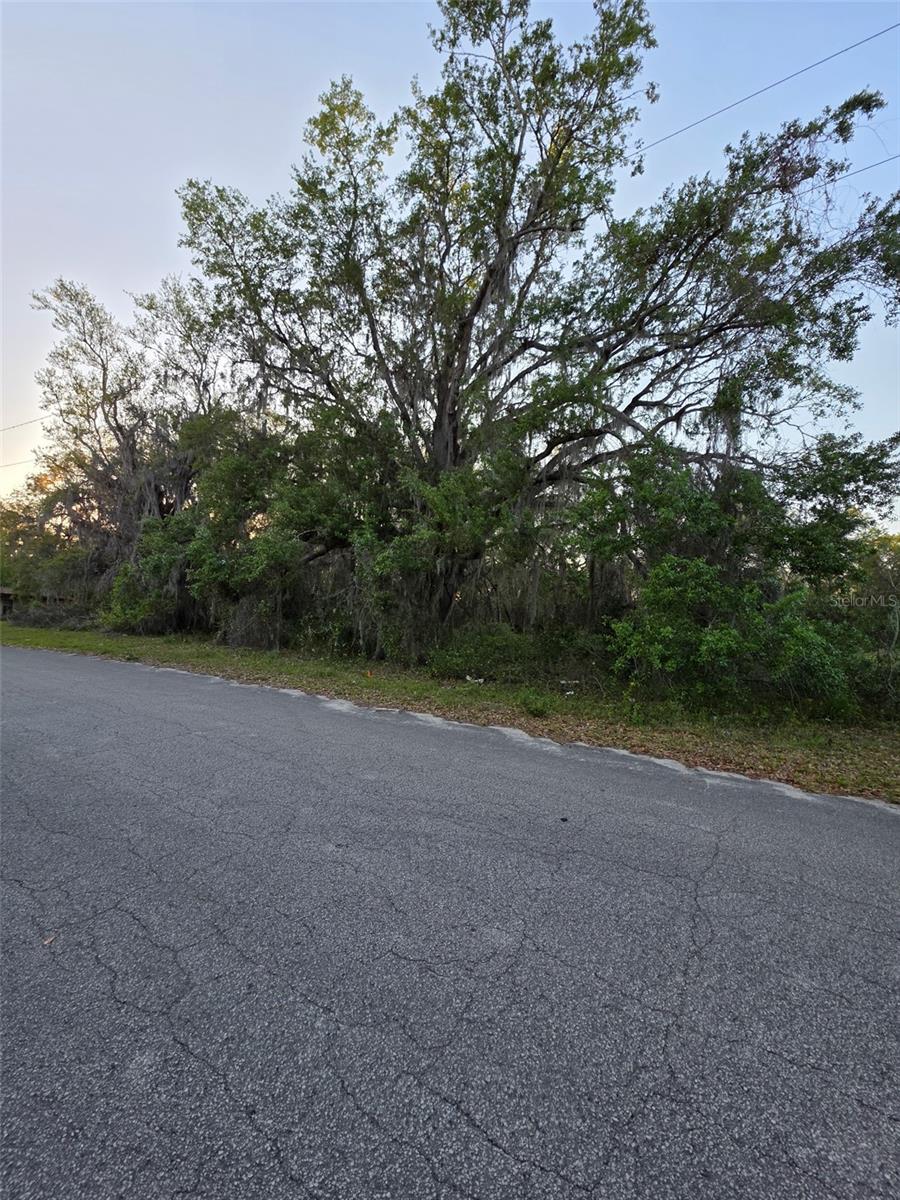 N QUARTERS RD, OKAHUMPKA, FL, 34762