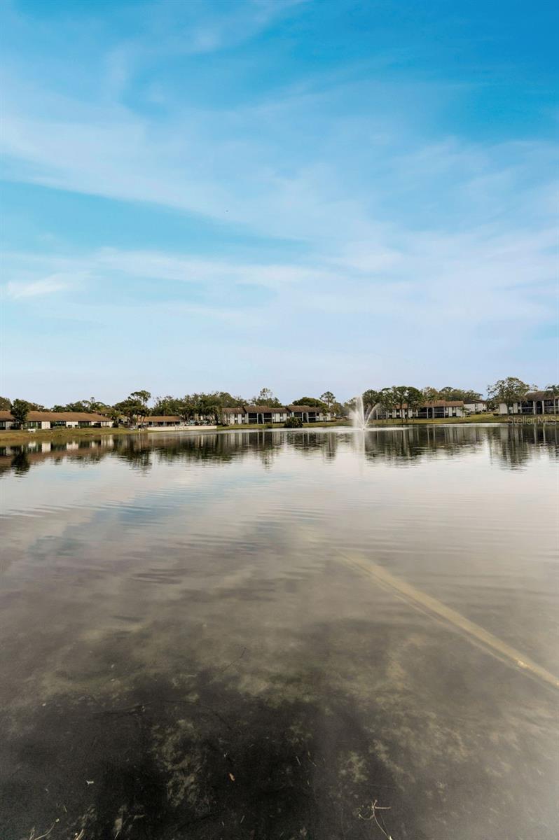 1882 PINE RIDGE WAY W #E1, PALM HARBOR, FL, 34684