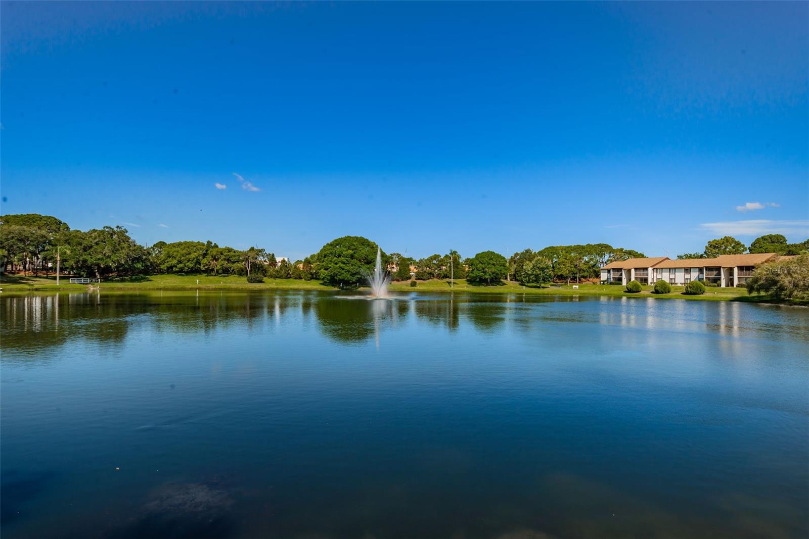 1882 PINE RIDGE WAY W #E1, PALM HARBOR, FL, 34684