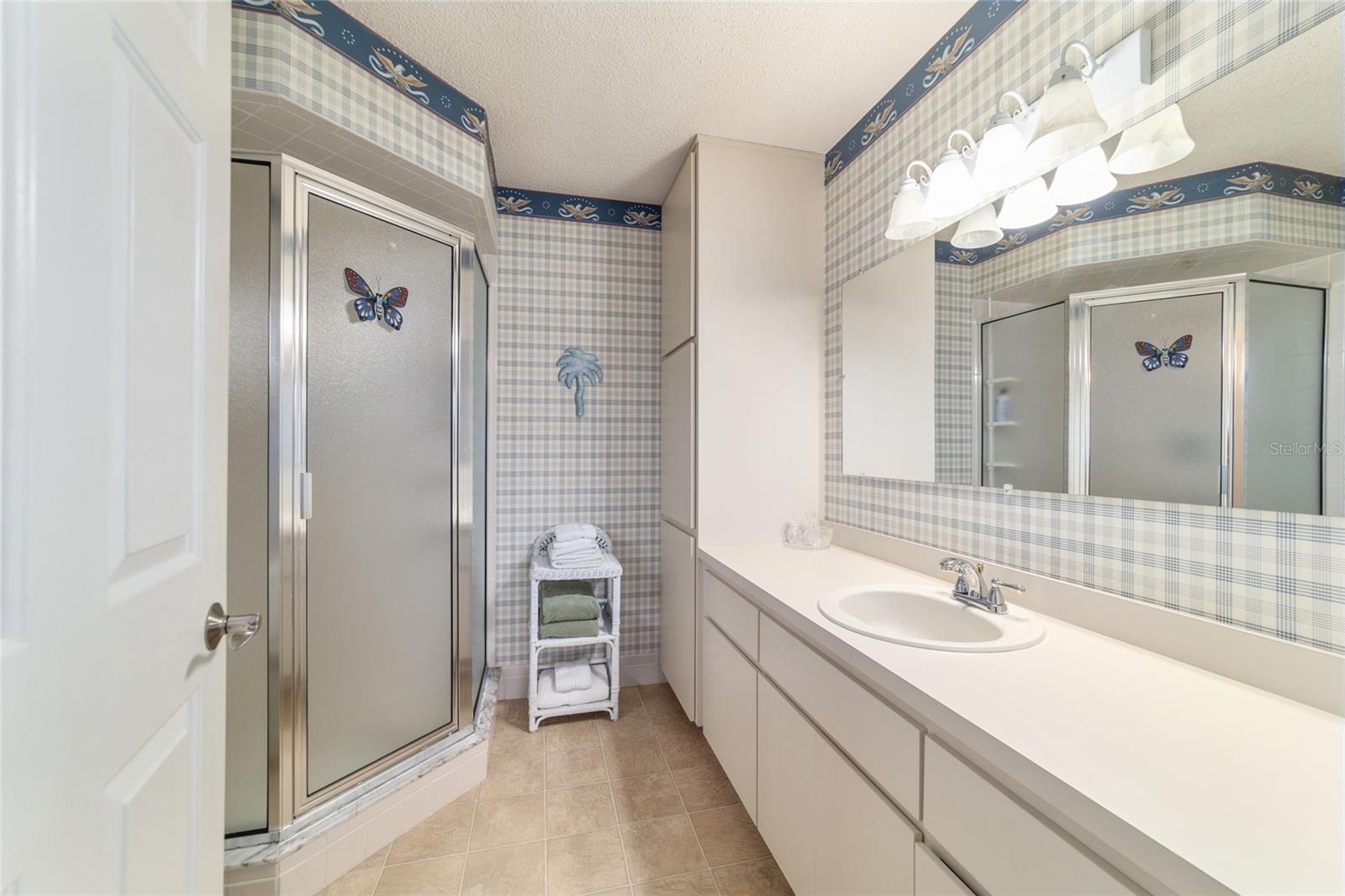 10476 SE 178TH ST, SUMMERFIELD, FL, 34491