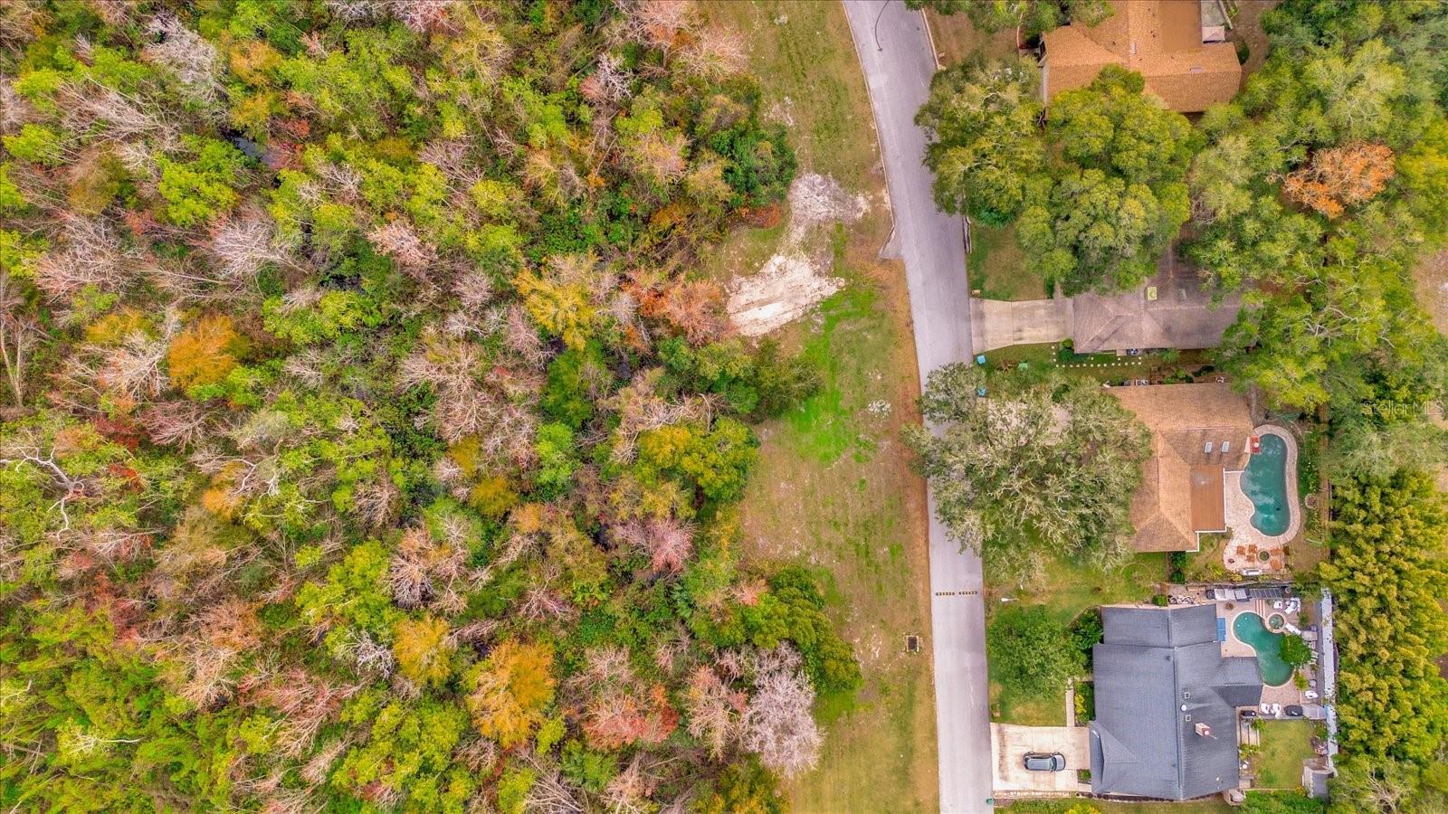 113 CITRUS TREE LN, LONGWOOD, FL, 32750