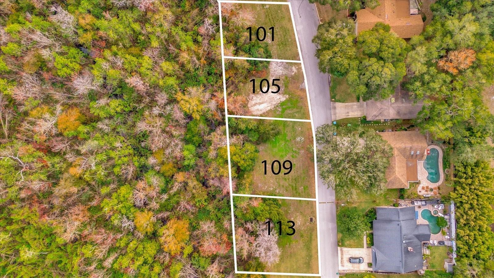 113 CITRUS TREE LN, LONGWOOD, FL, 32750