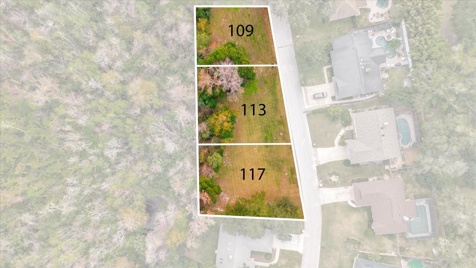113 CITRUS TREE LN, LONGWOOD, FL, 32750