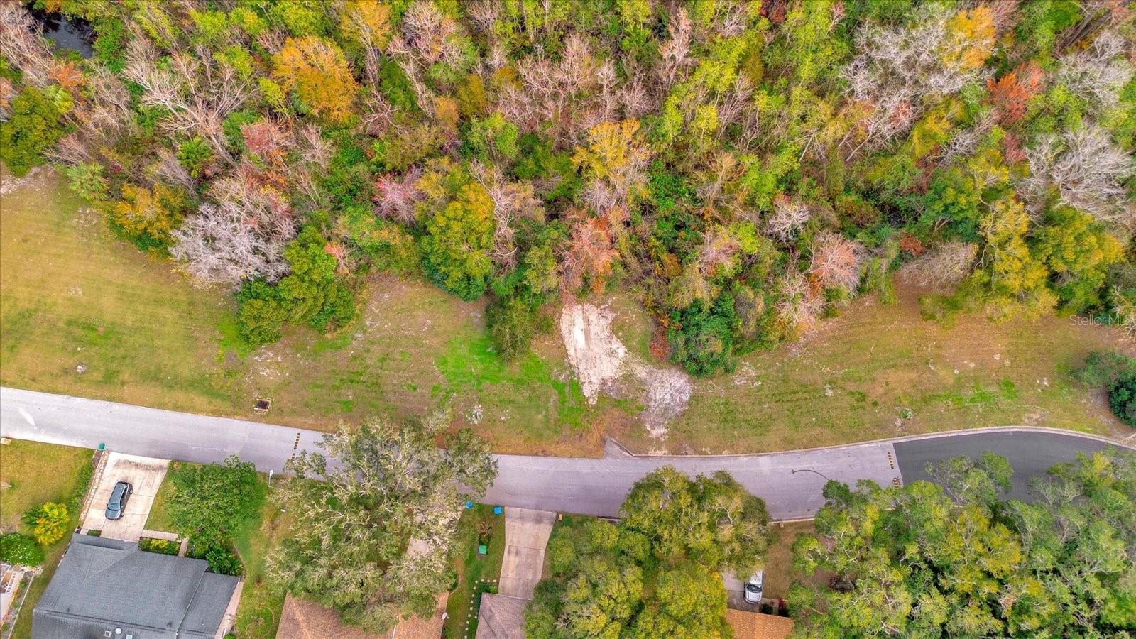 113 CITRUS TREE LN, LONGWOOD, FL, 32750