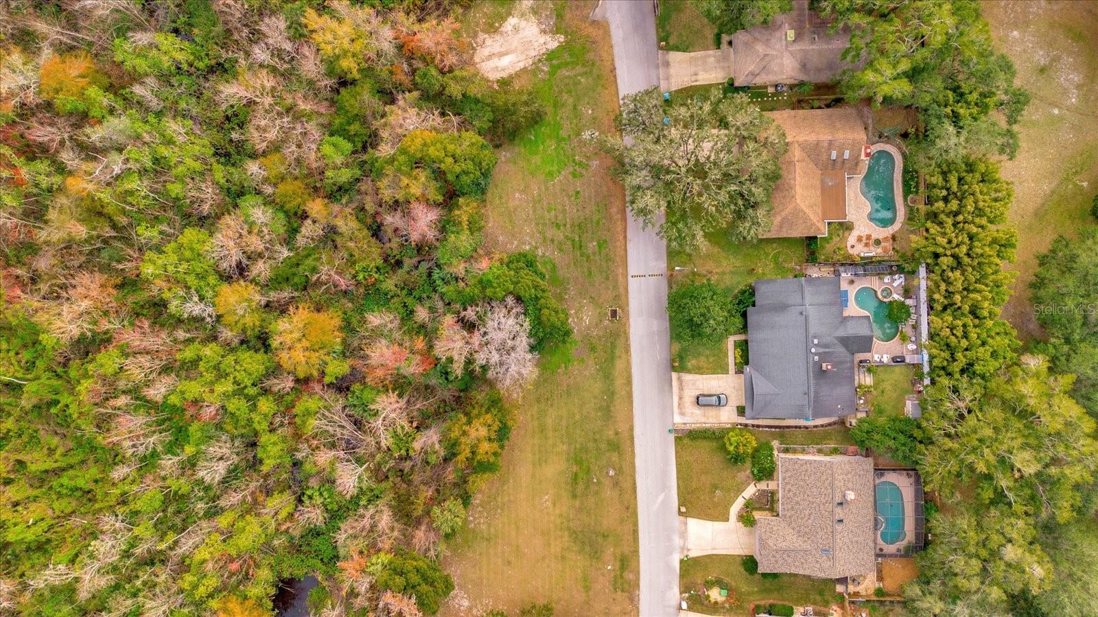 113 CITRUS TREE LN, LONGWOOD, FL, 32750