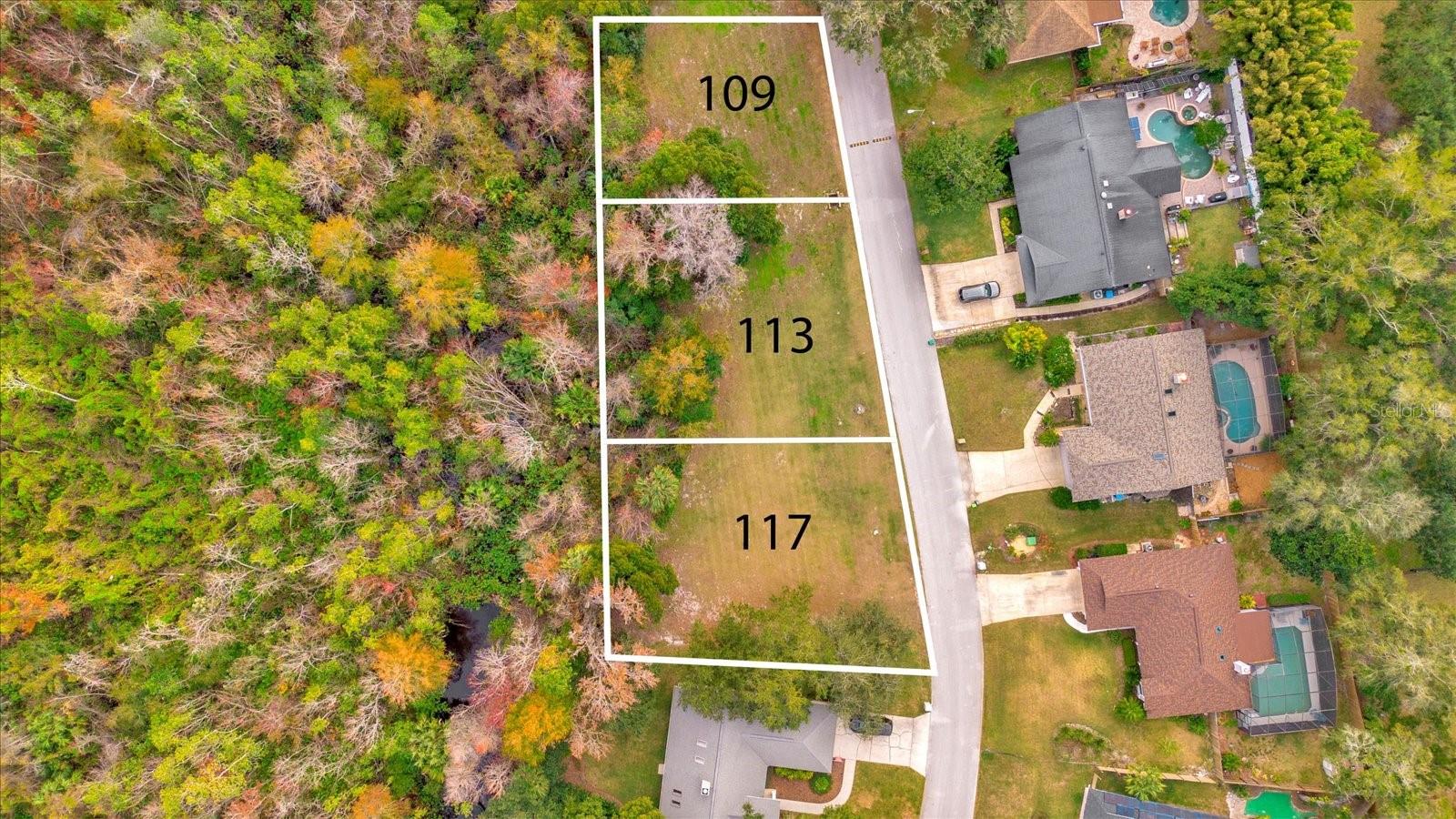 113 CITRUS TREE LN, LONGWOOD, FL, 32750