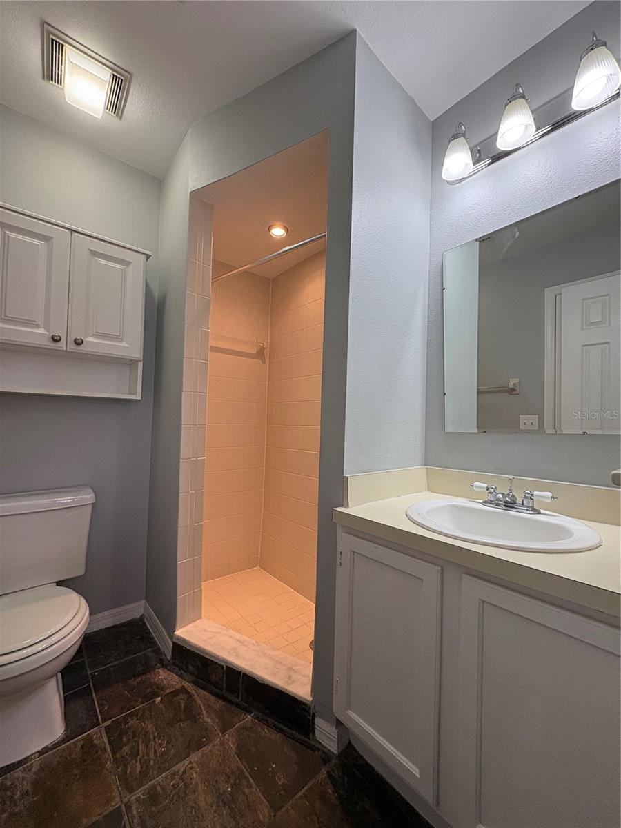 11356 STRATTON PARK DR, TEMPLE TERRACE, FL, 33617