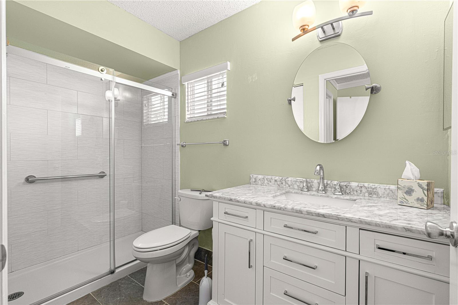 17664 SE 105TH TERRACE, SUMMERFIELD, FL, 34491