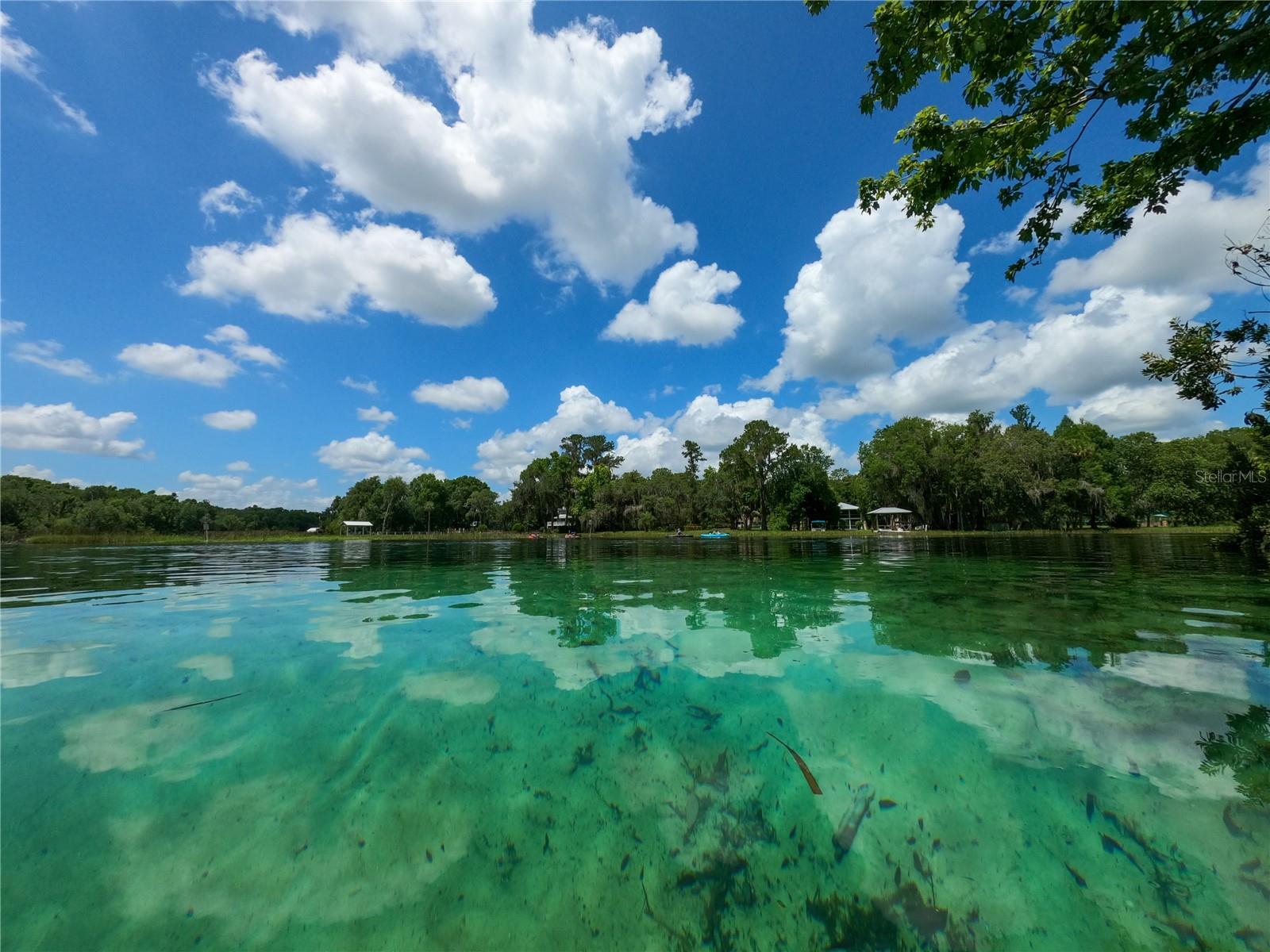 0 SW HALF MOON DR, DUNNELLON, FL, 34431