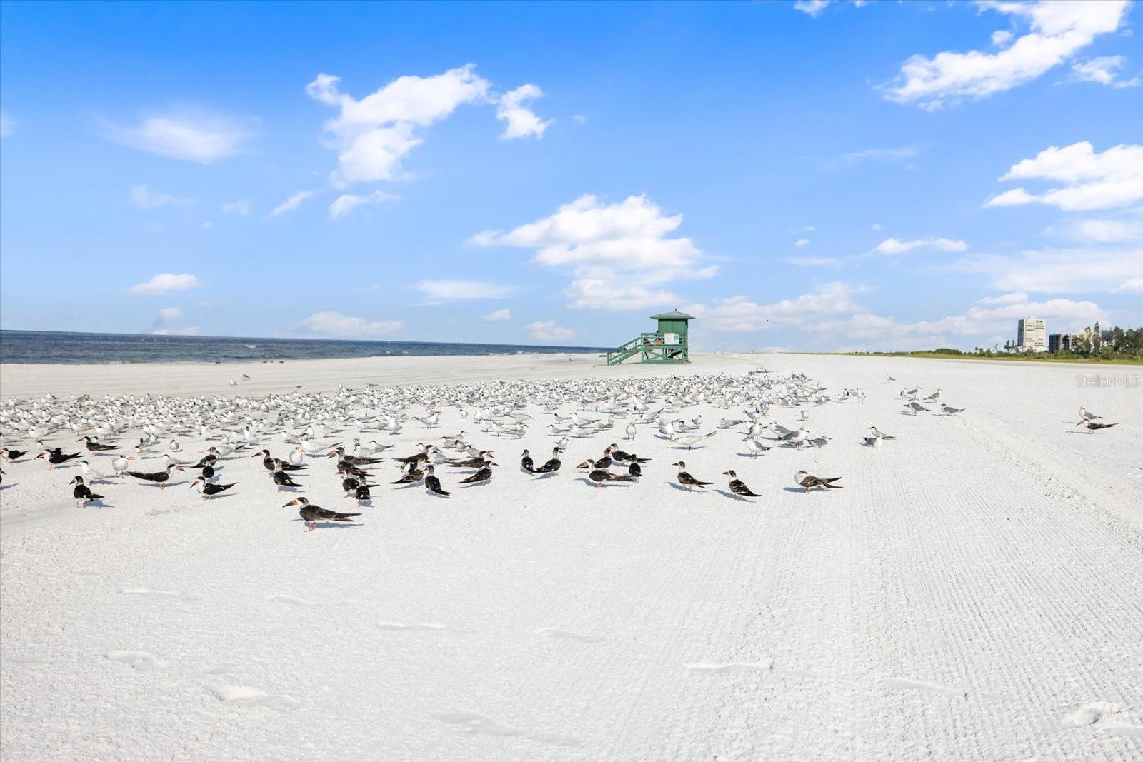 1610 STICKNEY POINT RD #101, SARASOTA, FL, 34231