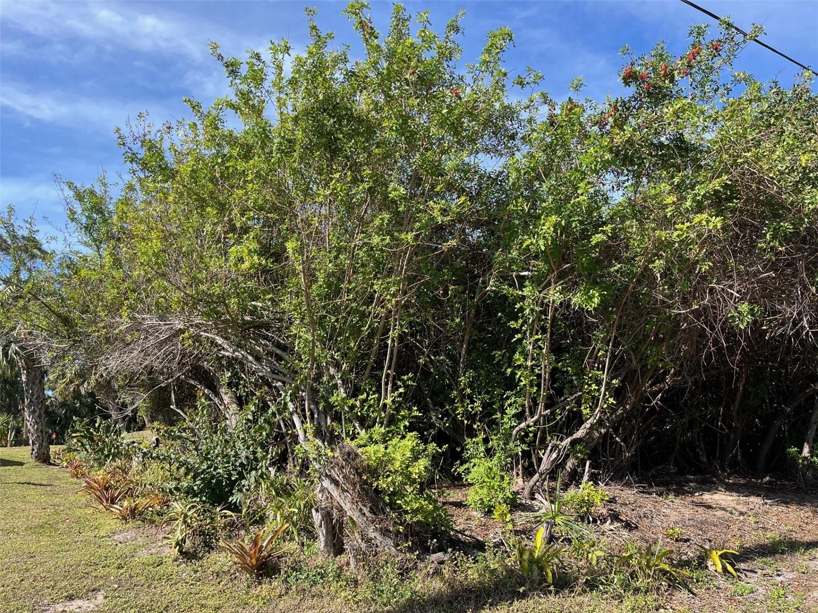 1221 HARBOR BLVD, PORT CHARLOTTE, FL, 33952