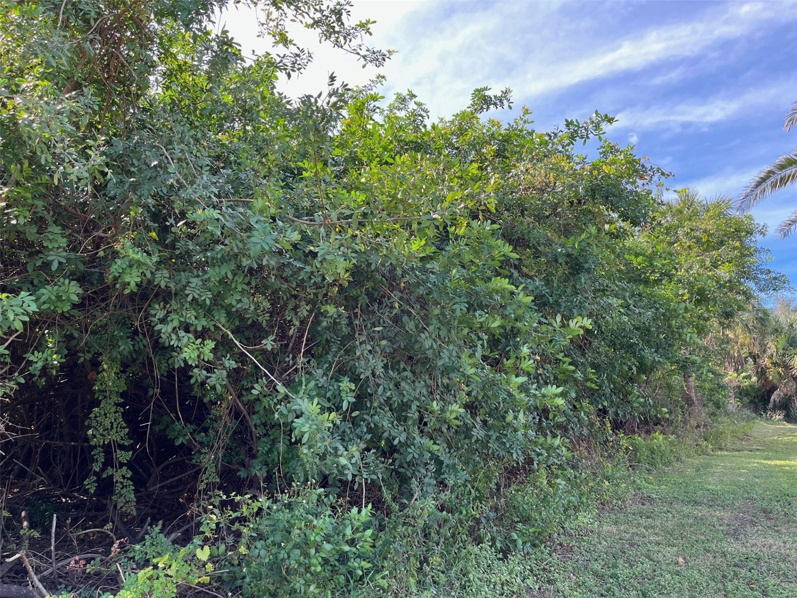 1221 HARBOR BLVD, PORT CHARLOTTE, FL, 33952