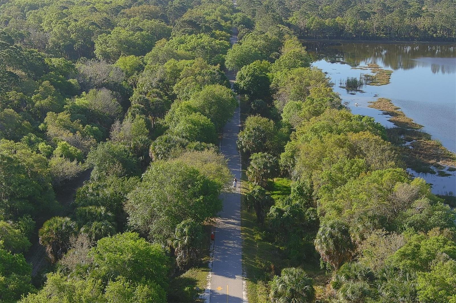 199 PALM AIR DR, OSPREY, FL, 34229