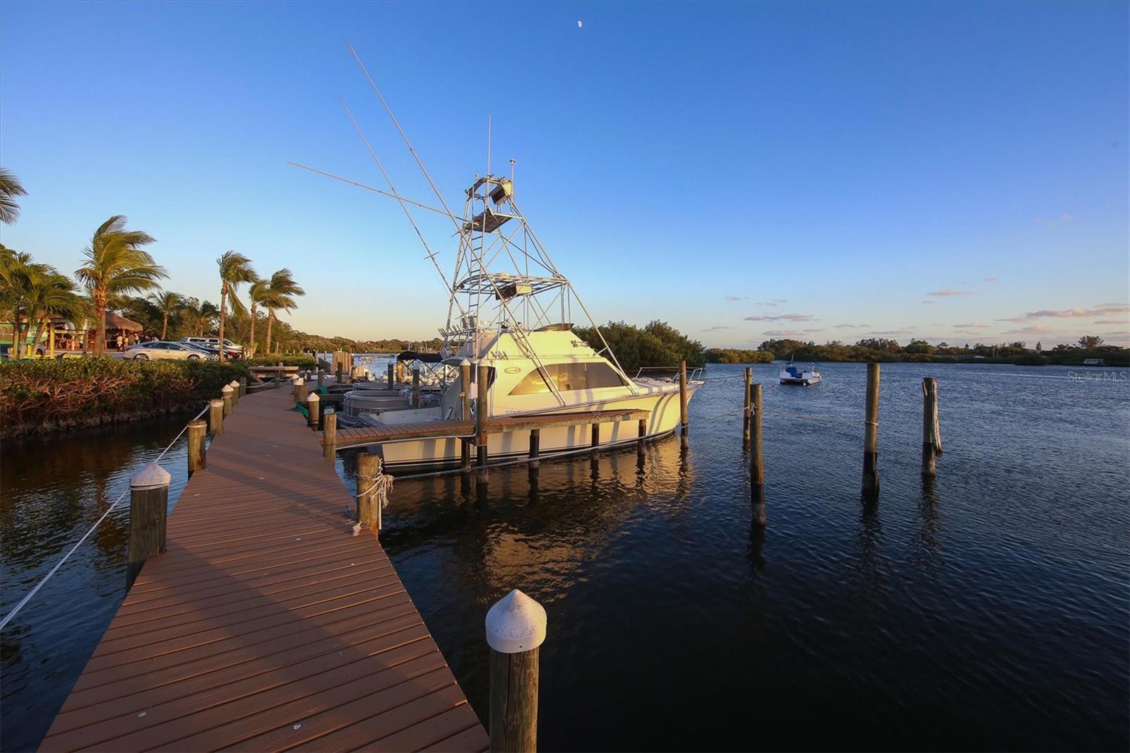 199 PALM AIR DR, OSPREY, FL, 34229