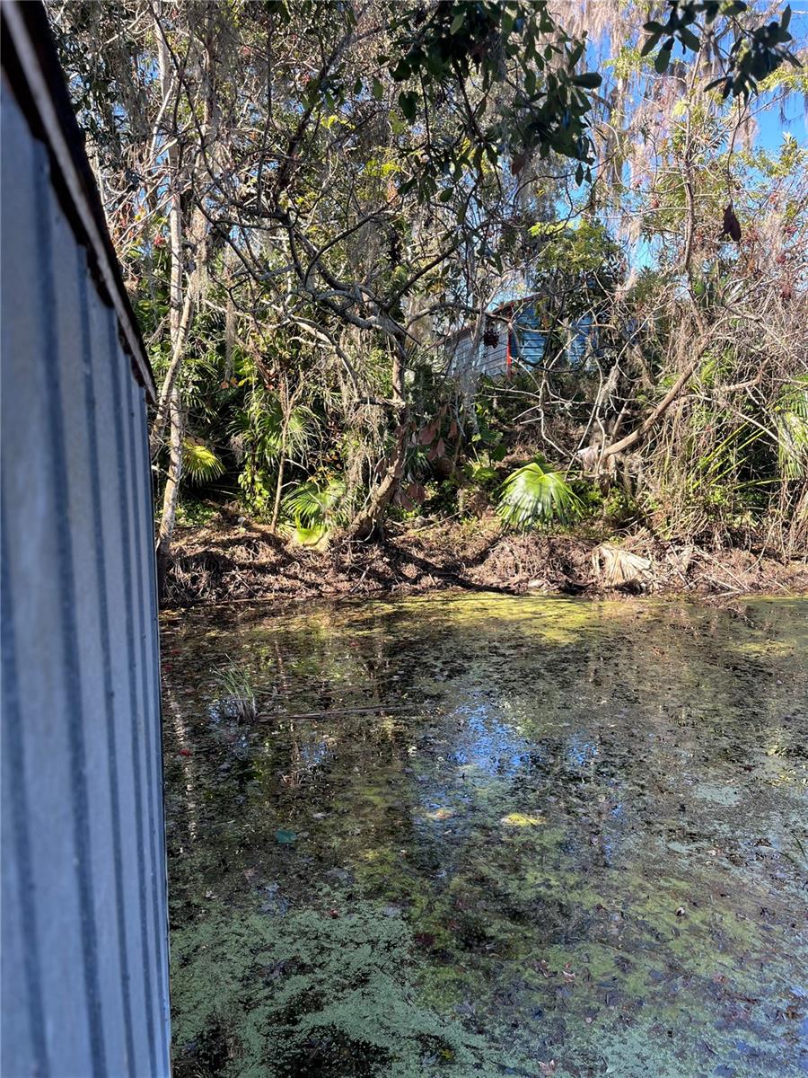 1268 CR 436, LAKE PANASOFFKEE, FL, 33538