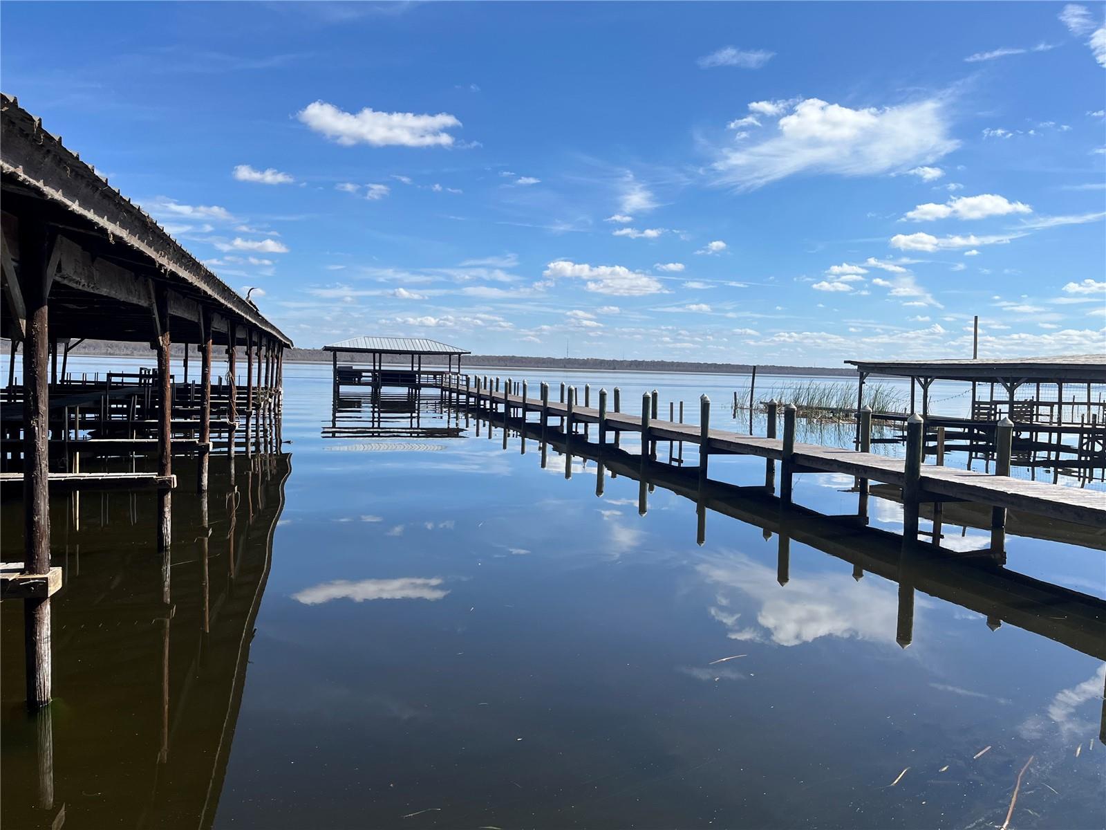 1268 CR 436, LAKE PANASOFFKEE, FL, 33538