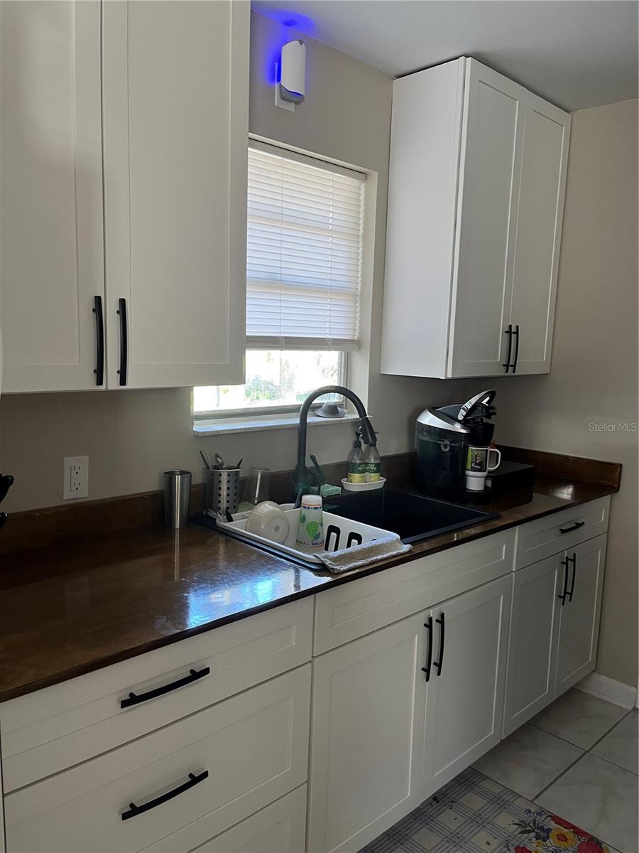 1268 CR 436, LAKE PANASOFFKEE, FL, 33538