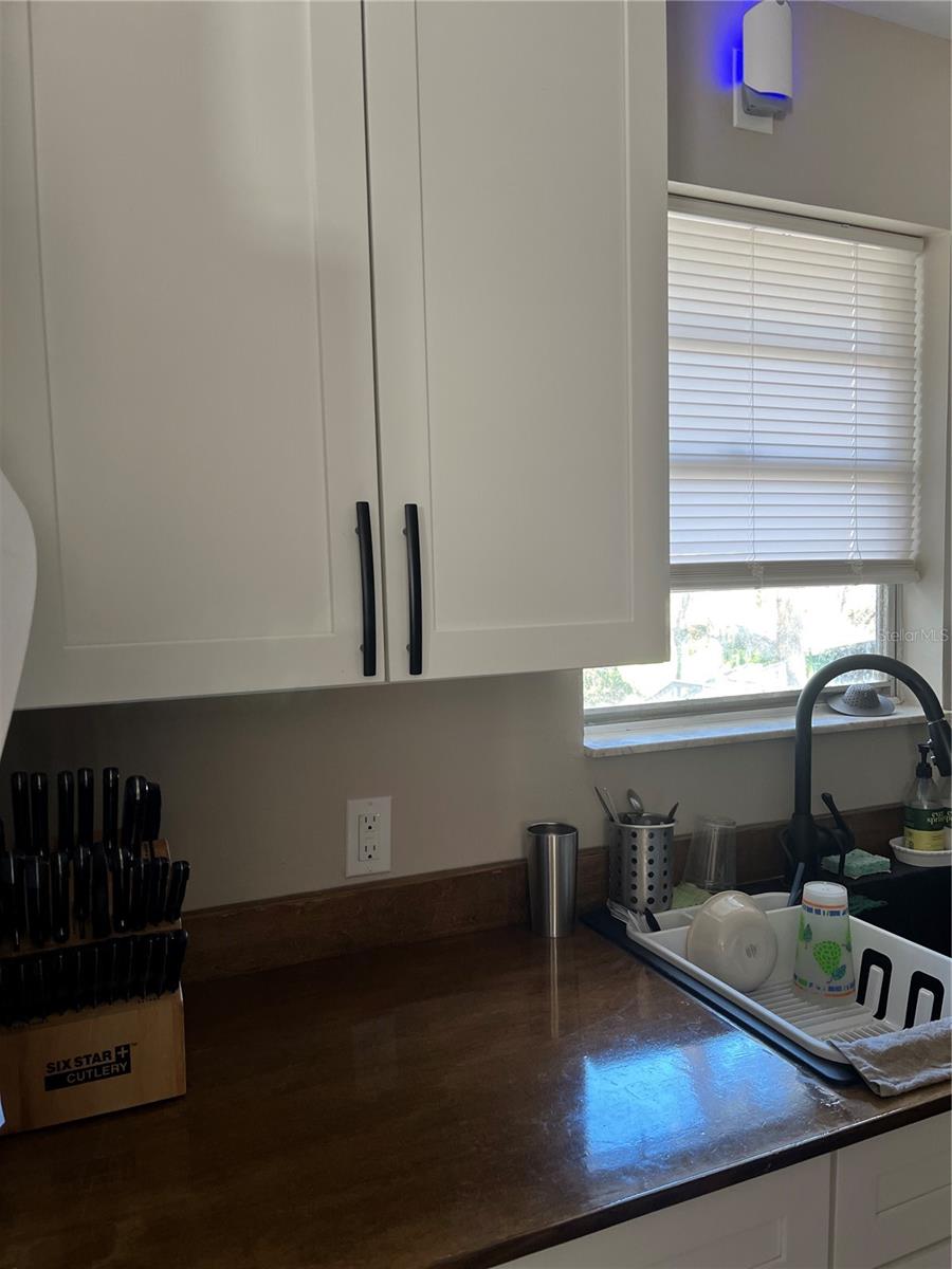 1268 CR 436, LAKE PANASOFFKEE, FL, 33538