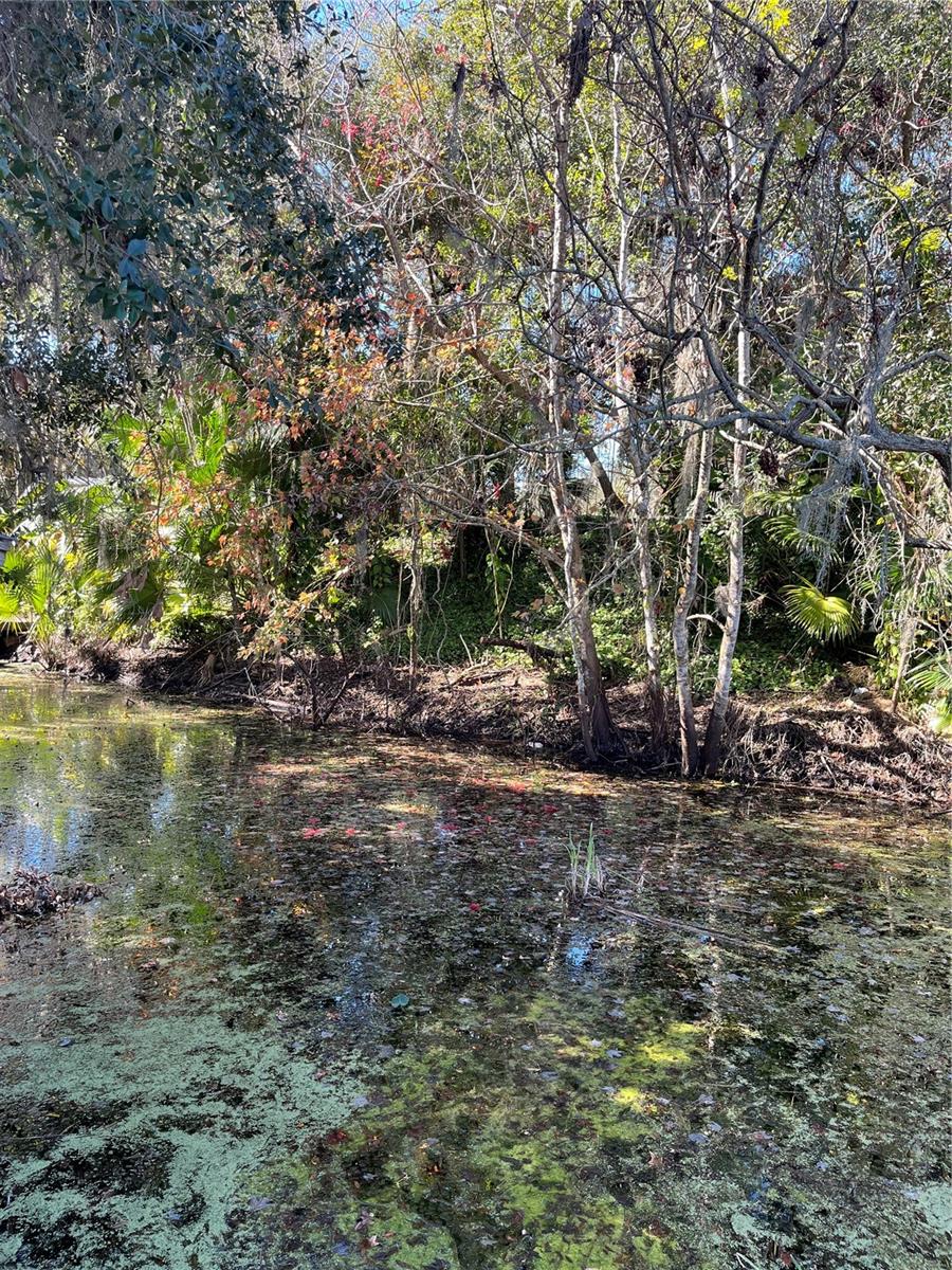 1268 CR 436, LAKE PANASOFFKEE, FL, 33538