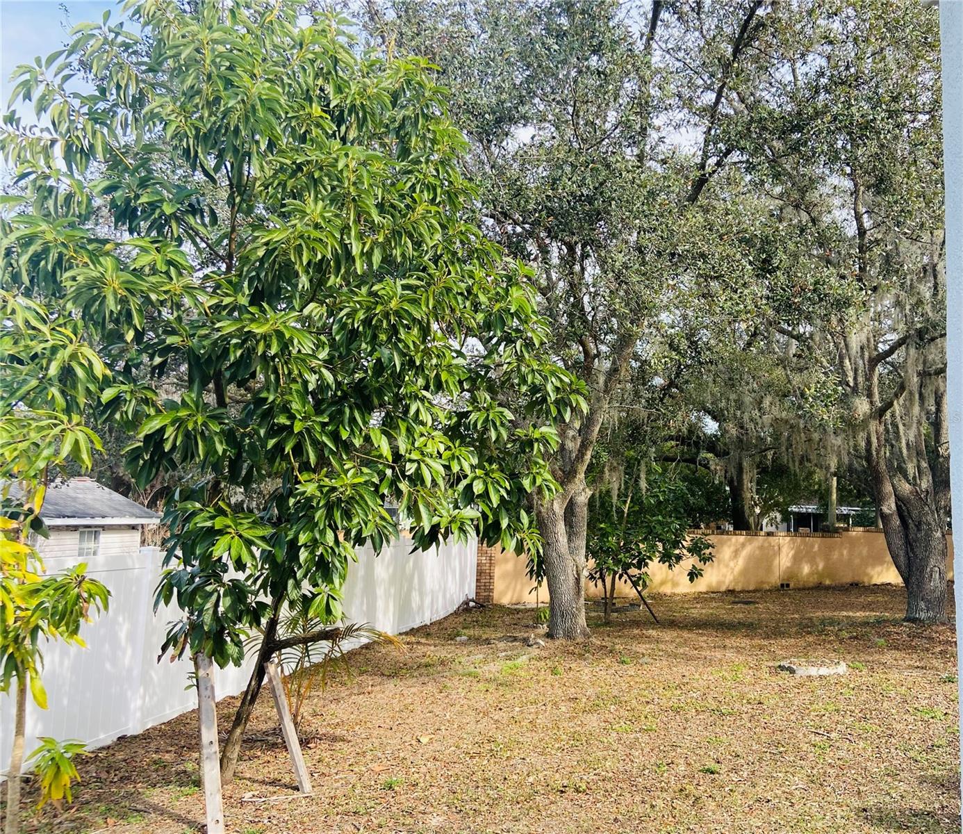 4209 AMBER RIDGE LN, VALRICO, FL, 33594