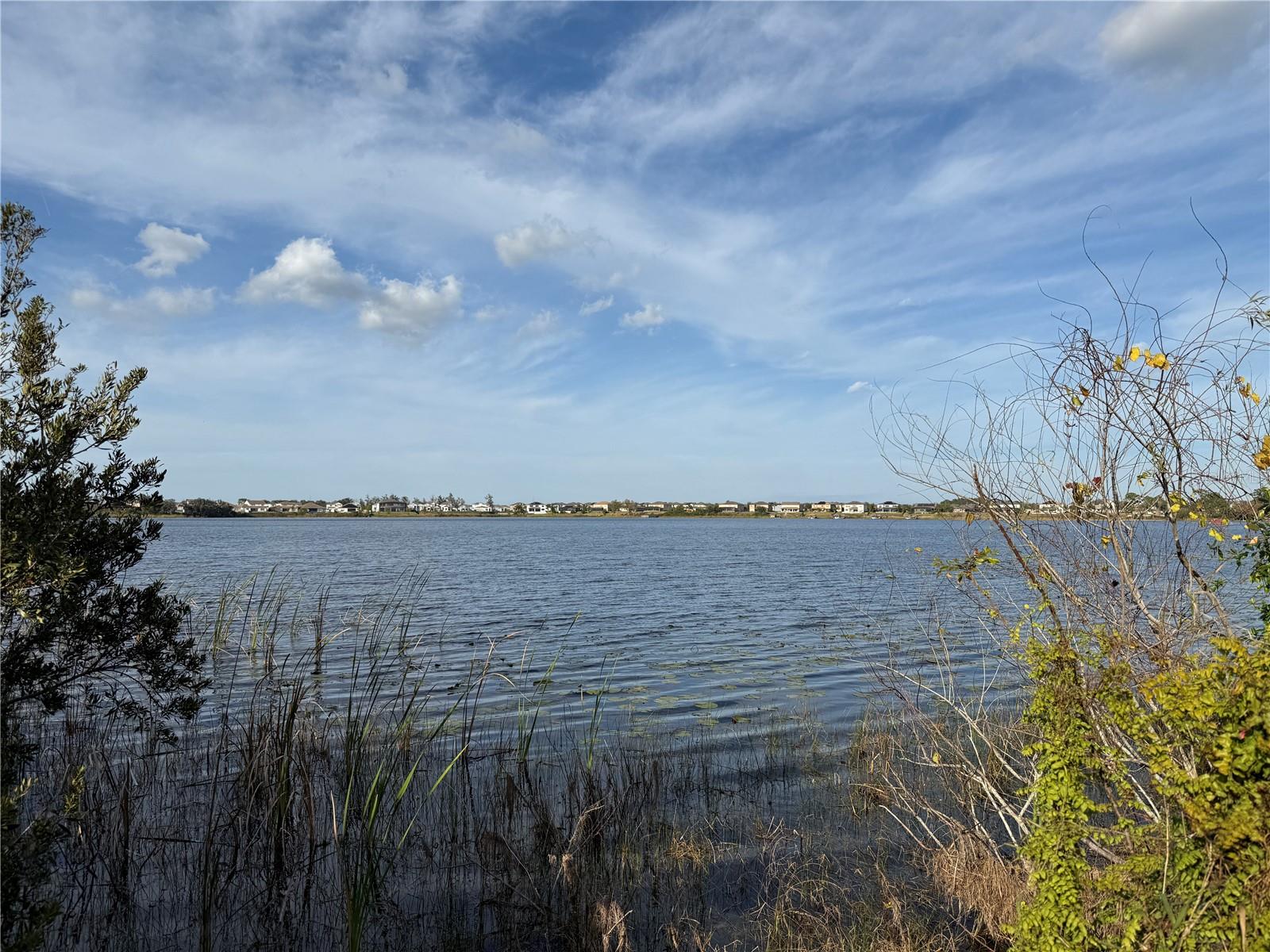 14791 CRIMSON BLUFF ALY, WINTER GARDEN, FL, 34787