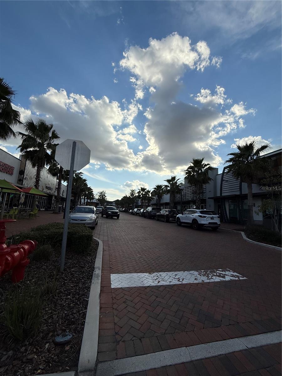 14791 CRIMSON BLUFF ALY, WINTER GARDEN, FL, 34787