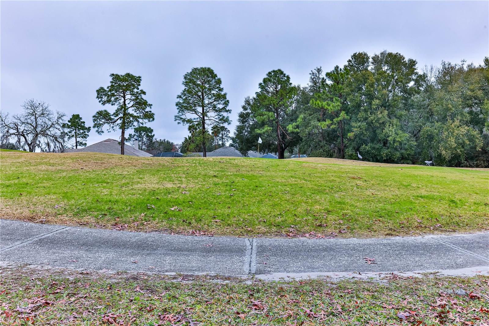 706 LAKE DIAMOND AVE, OCALA, FL, 34472
