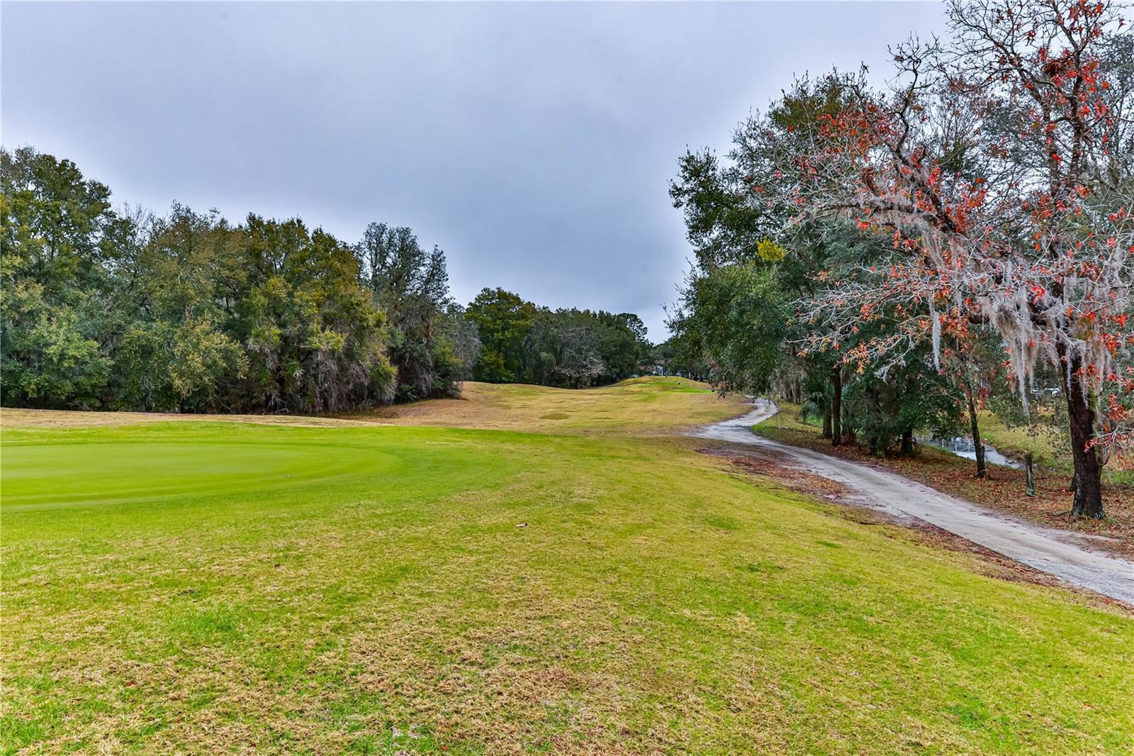 706 LAKE DIAMOND AVE, OCALA, FL, 34472