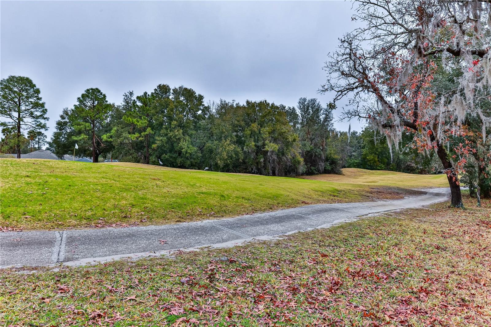 706 LAKE DIAMOND AVE, OCALA, FL, 34472
