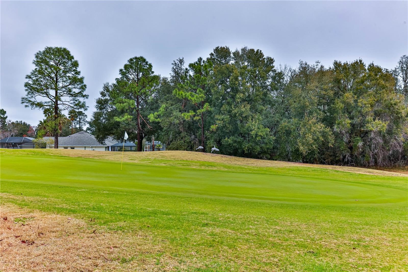 706 LAKE DIAMOND AVE, OCALA, FL, 34472
