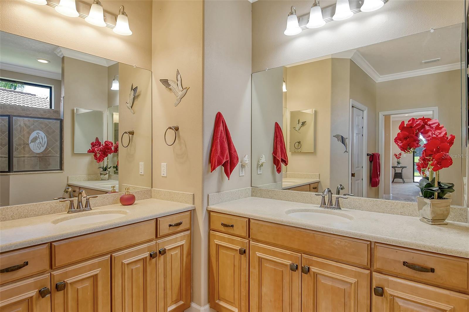 20361 PEZZANA DR, VENICE, FL, 34292