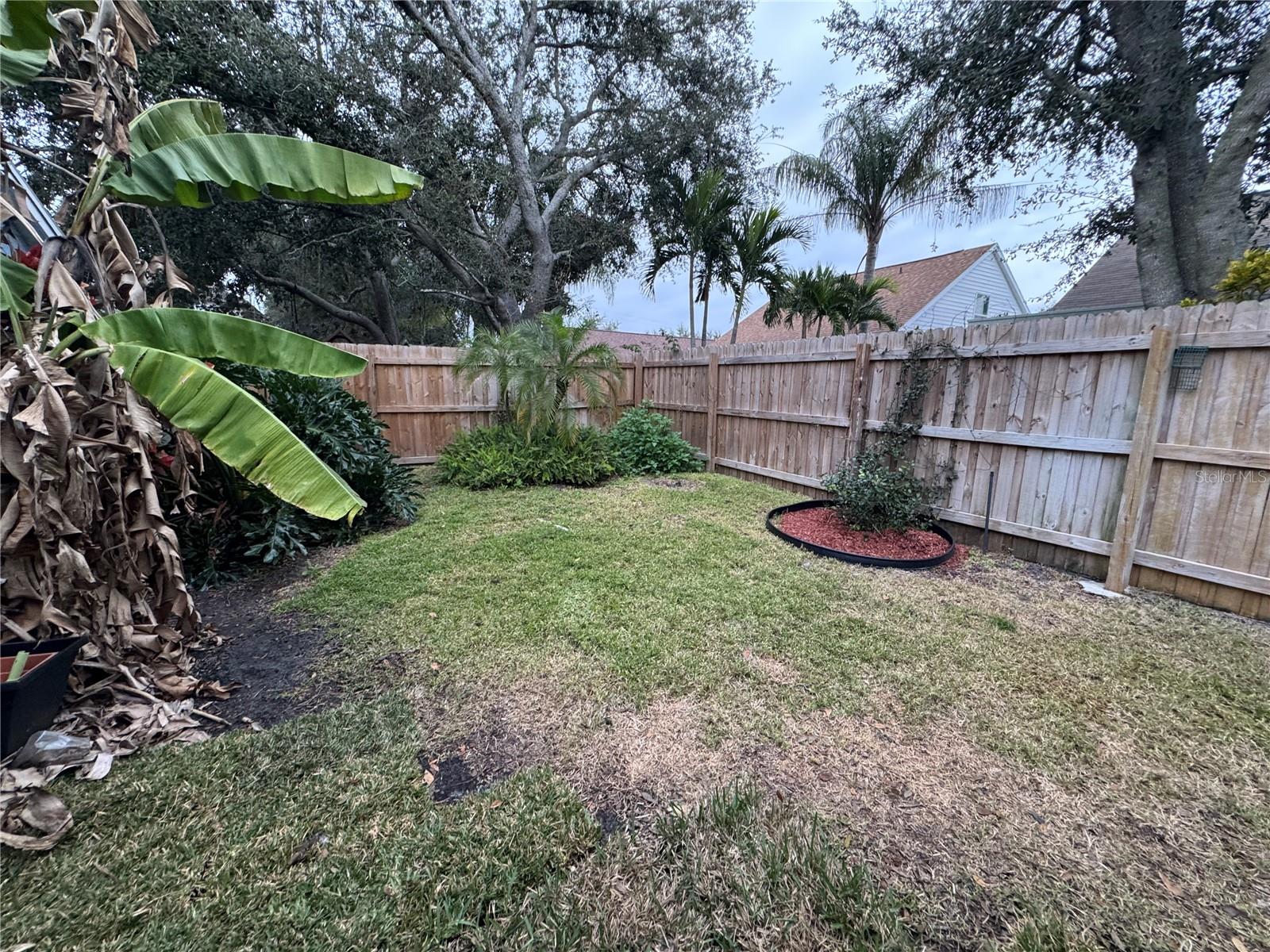 8434 HAWBUCK ST, TRINITY, FL, 34655