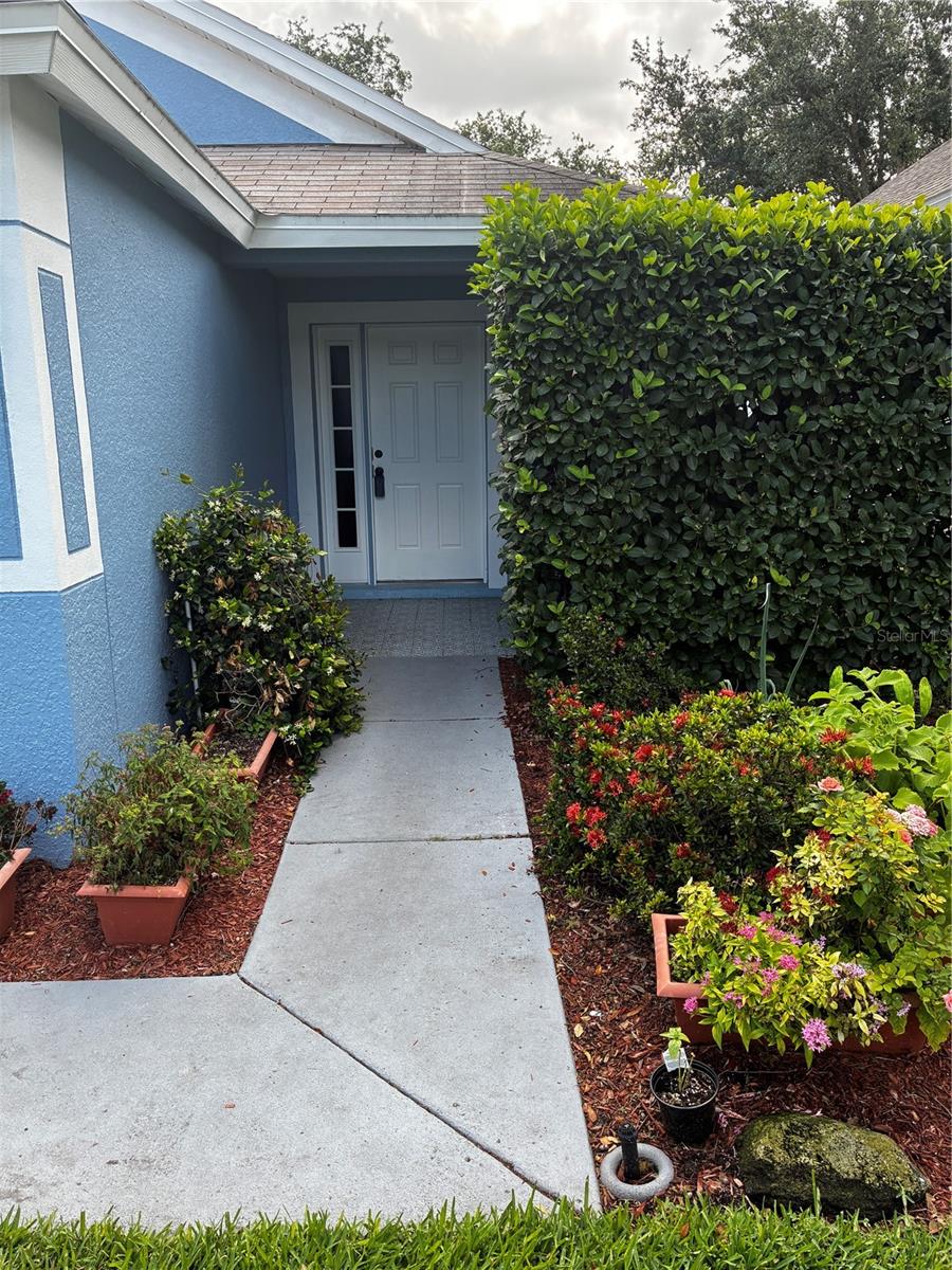 8434 HAWBUCK ST, TRINITY, FL, 34655