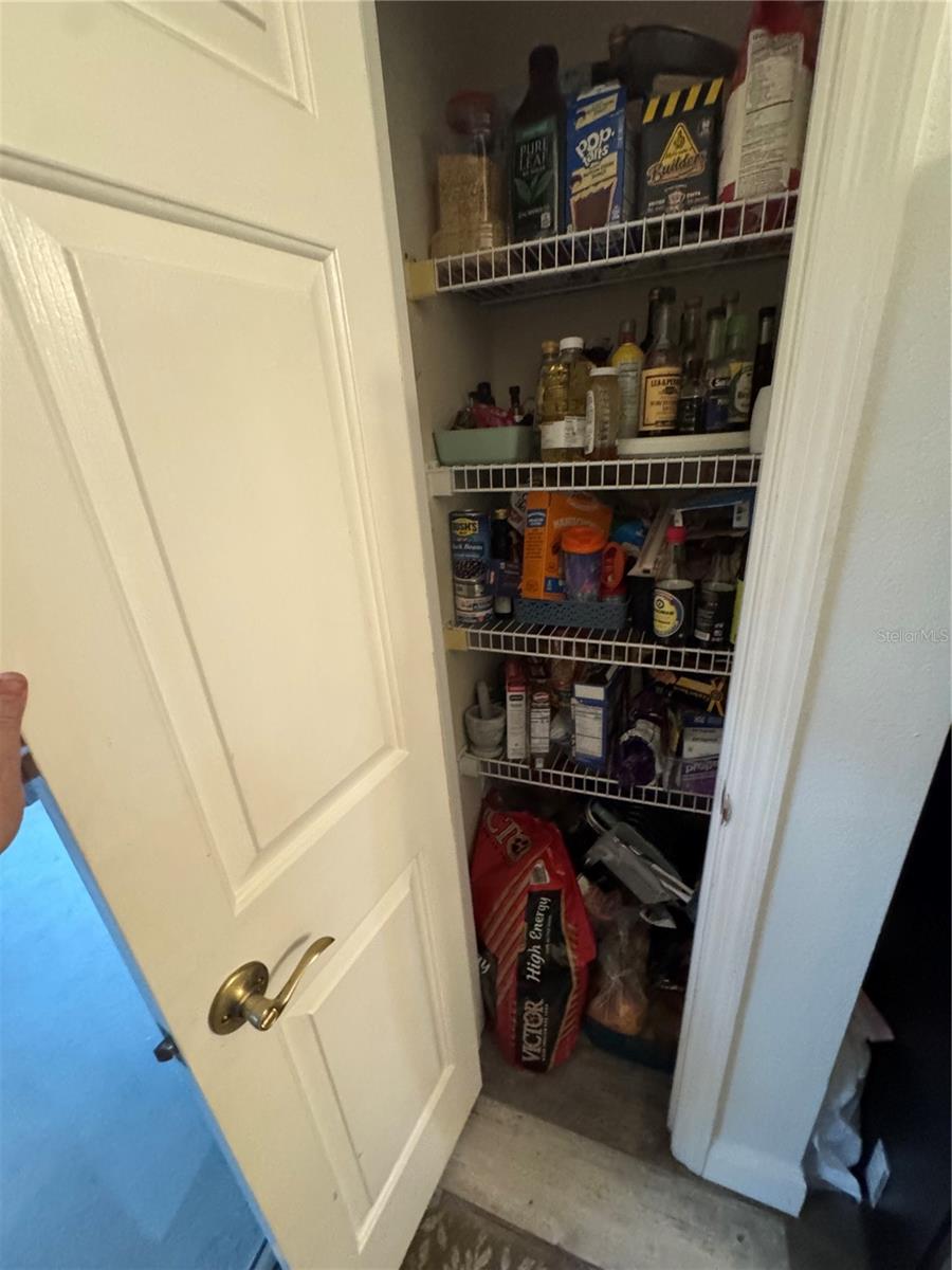8434 HAWBUCK ST, TRINITY, FL, 34655