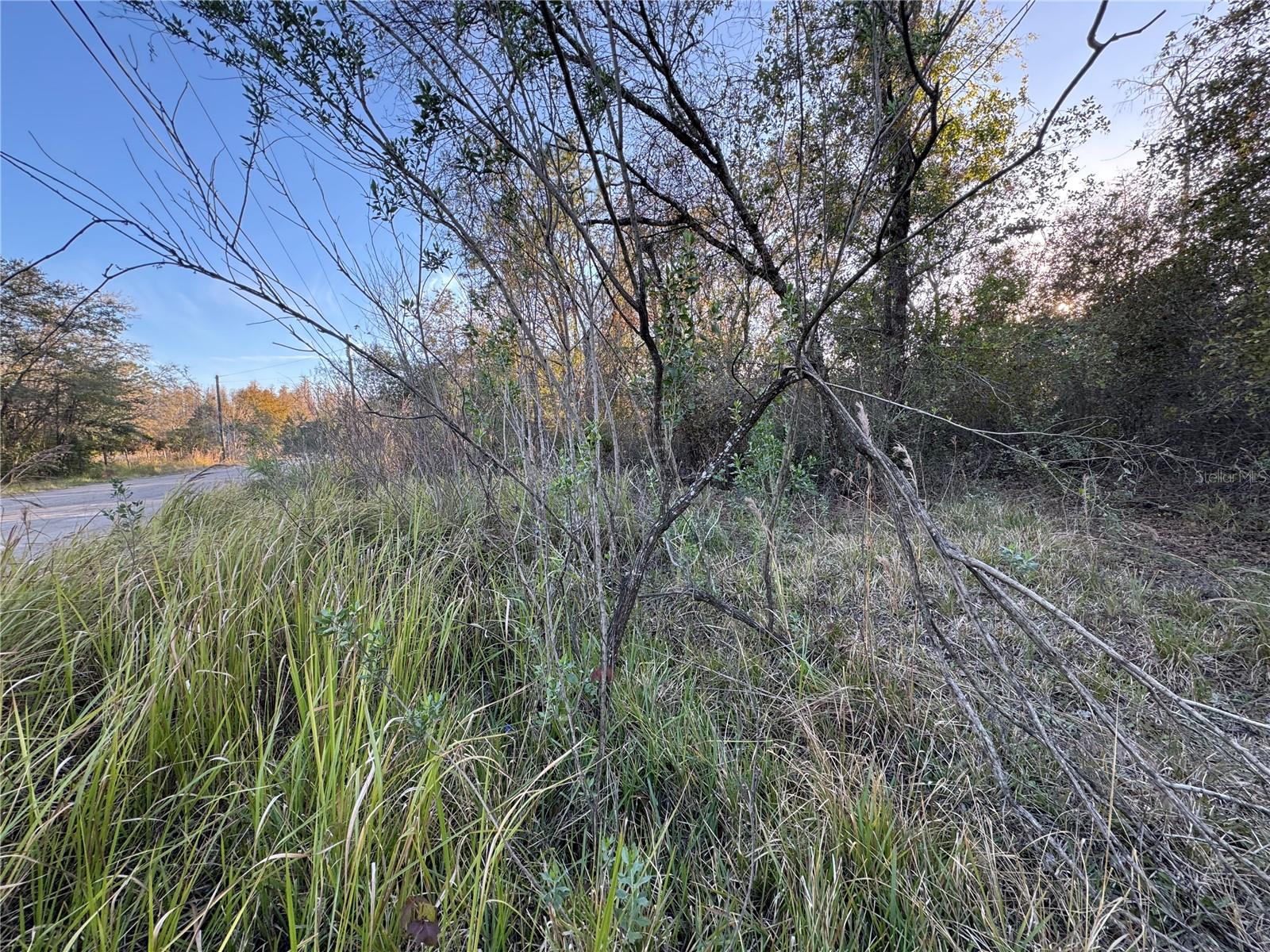 10612 PATHFINDER TRL, LAKELAND, FL, 33809
