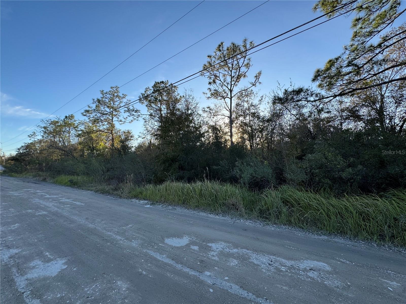 10612 PATHFINDER TRL, LAKELAND, FL, 33809