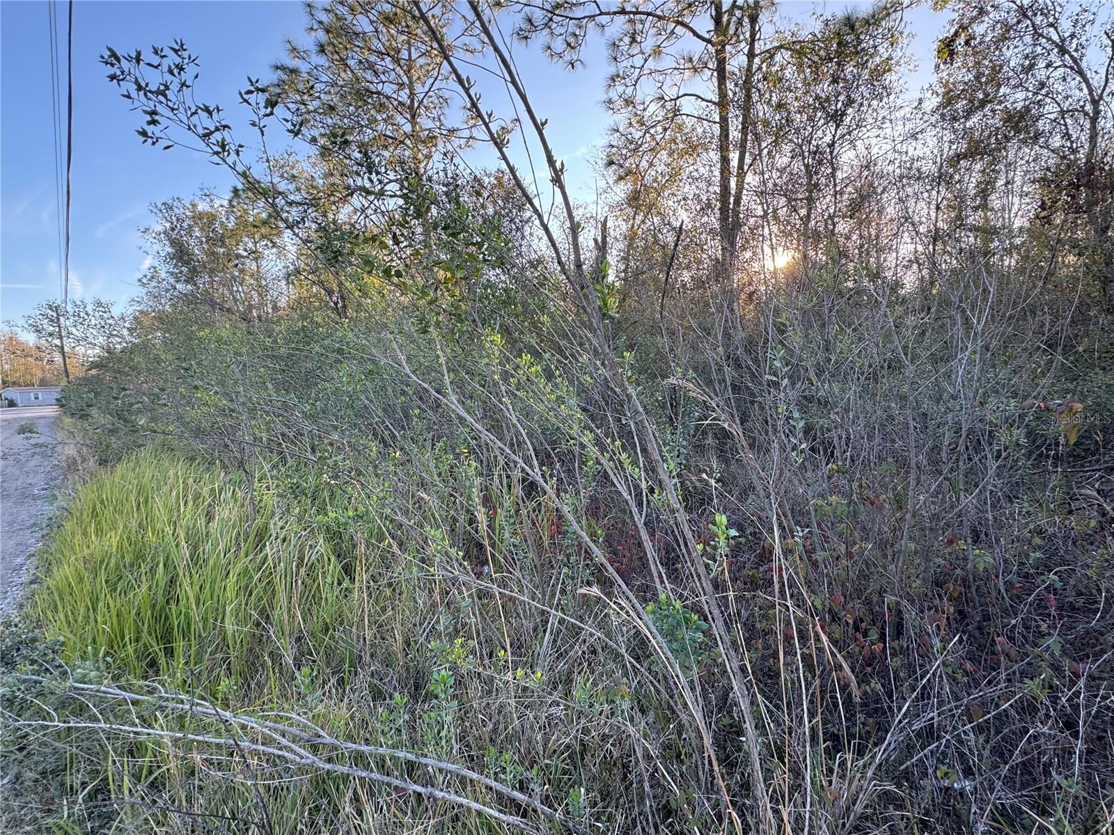 10612 PATHFINDER TRL, LAKELAND, FL, 33809
