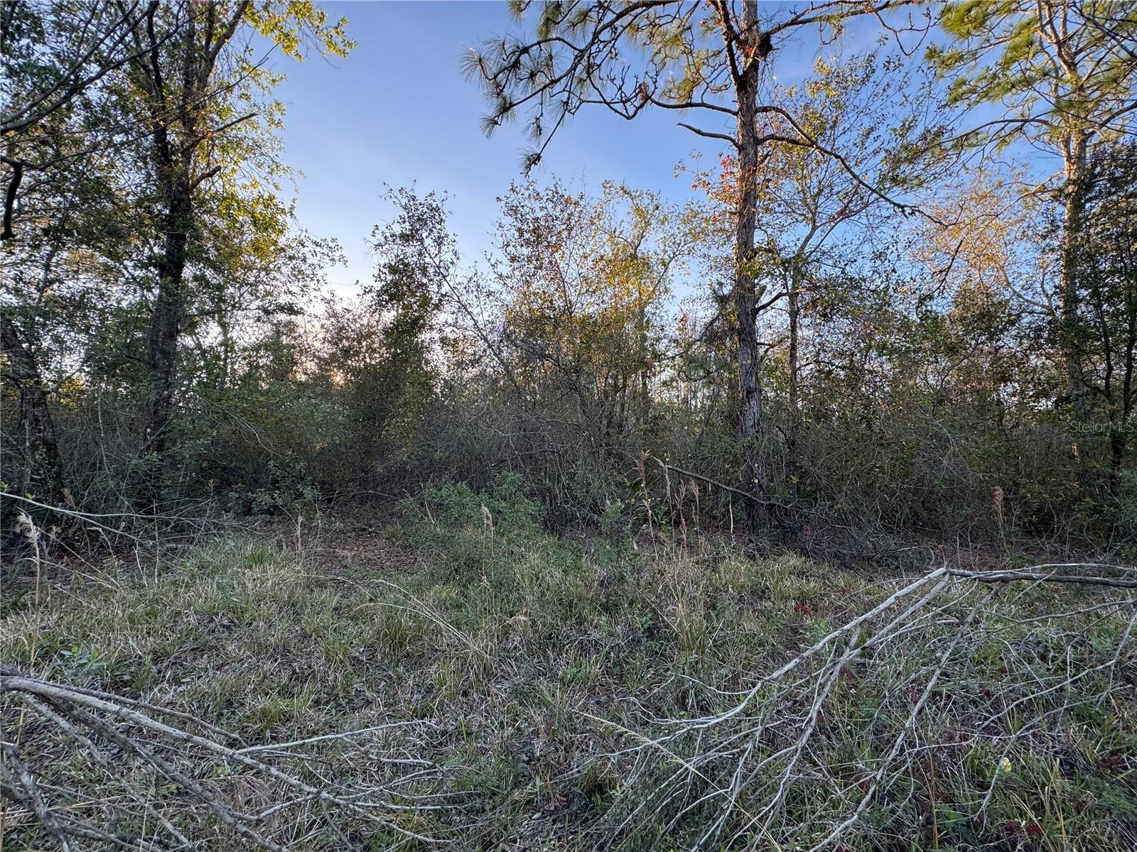 10612 PATHFINDER TRL, LAKELAND, FL, 33809