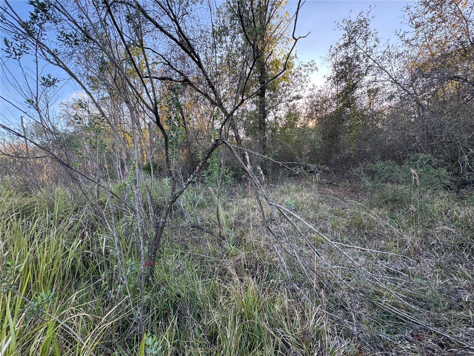 10612 PATHFINDER TRL, LAKELAND, FL, 33809