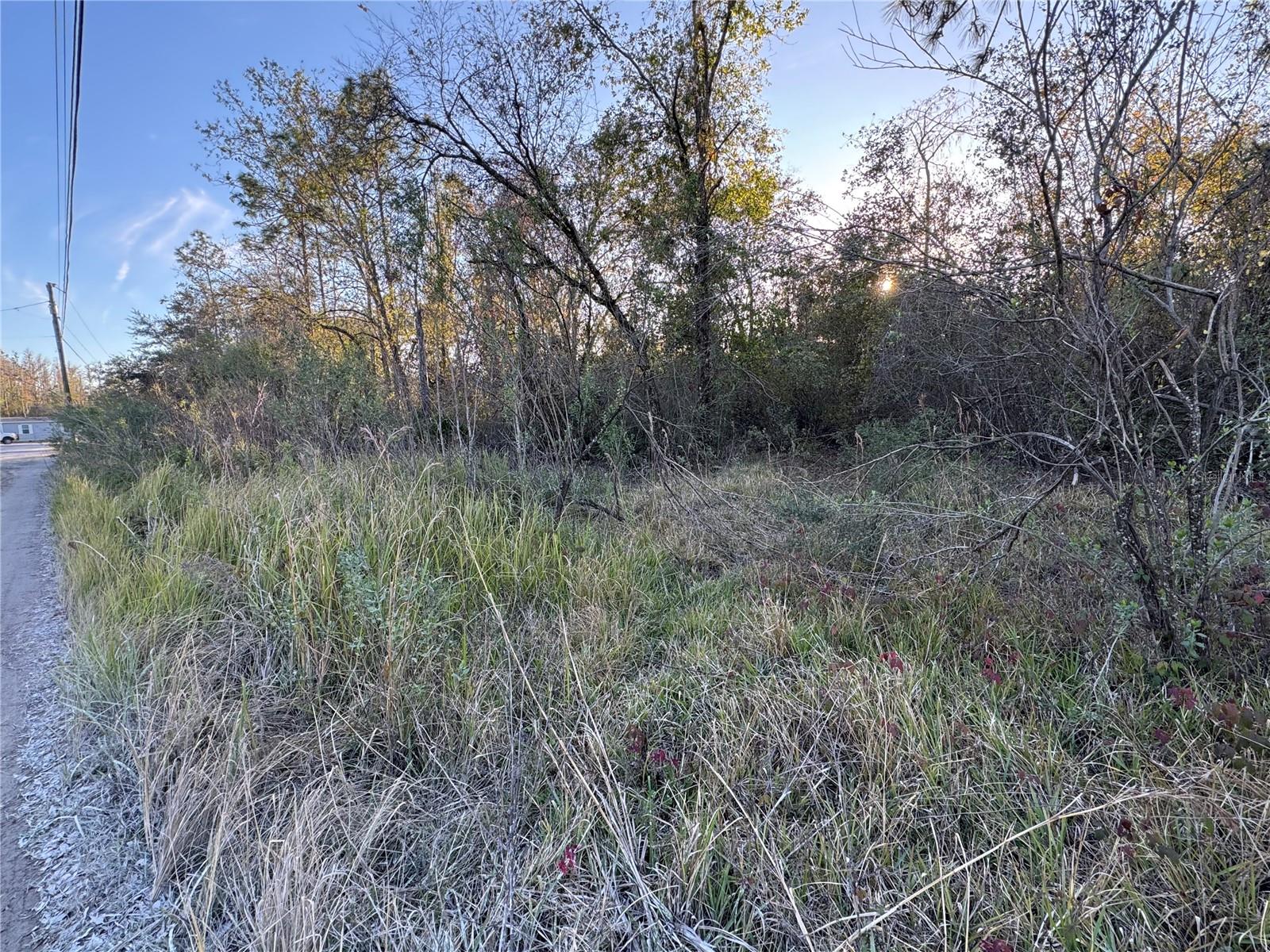 10612 PATHFINDER TRL, LAKELAND, FL, 33809