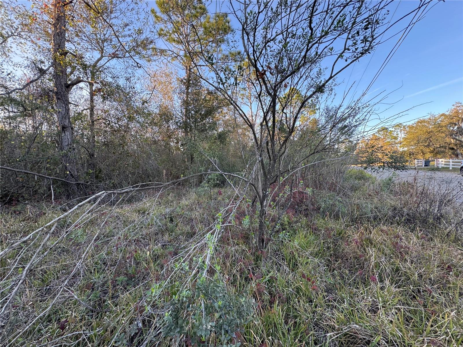 10612 PATHFINDER TRL, LAKELAND, FL, 33809
