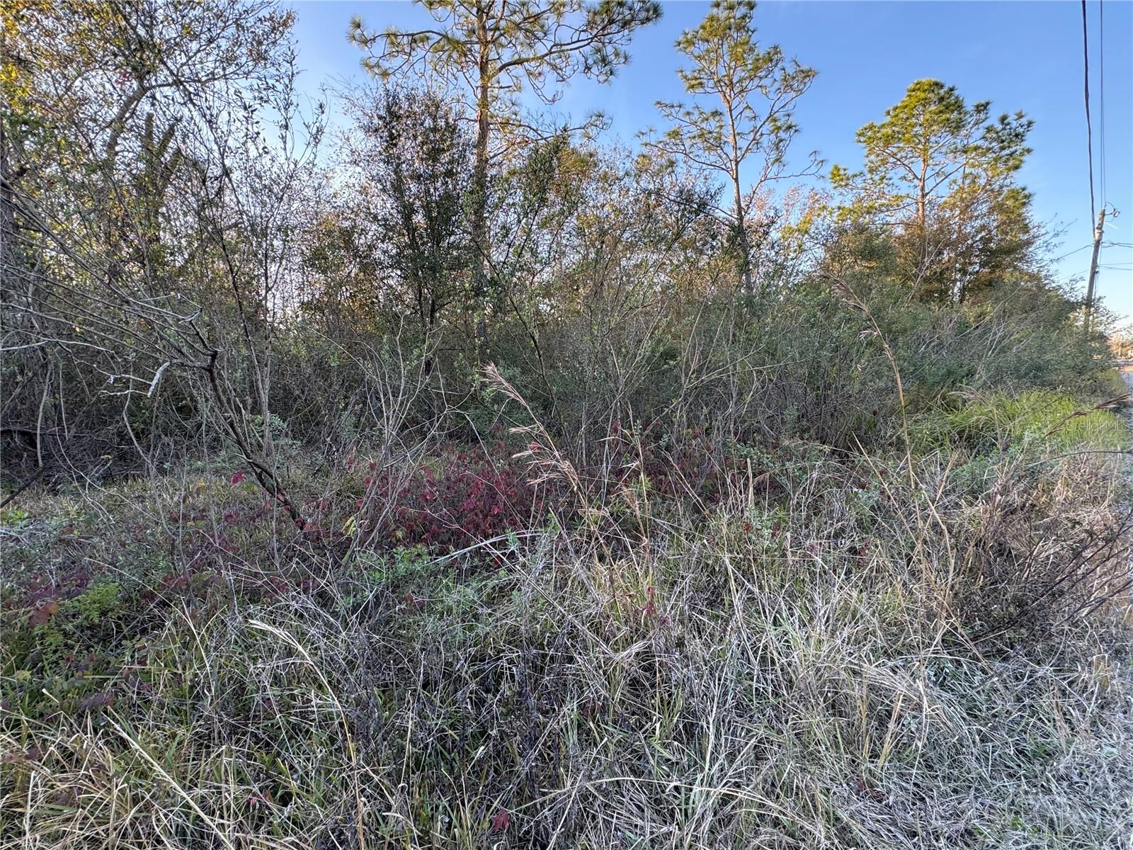 10612 PATHFINDER TRL, LAKELAND, FL, 33809