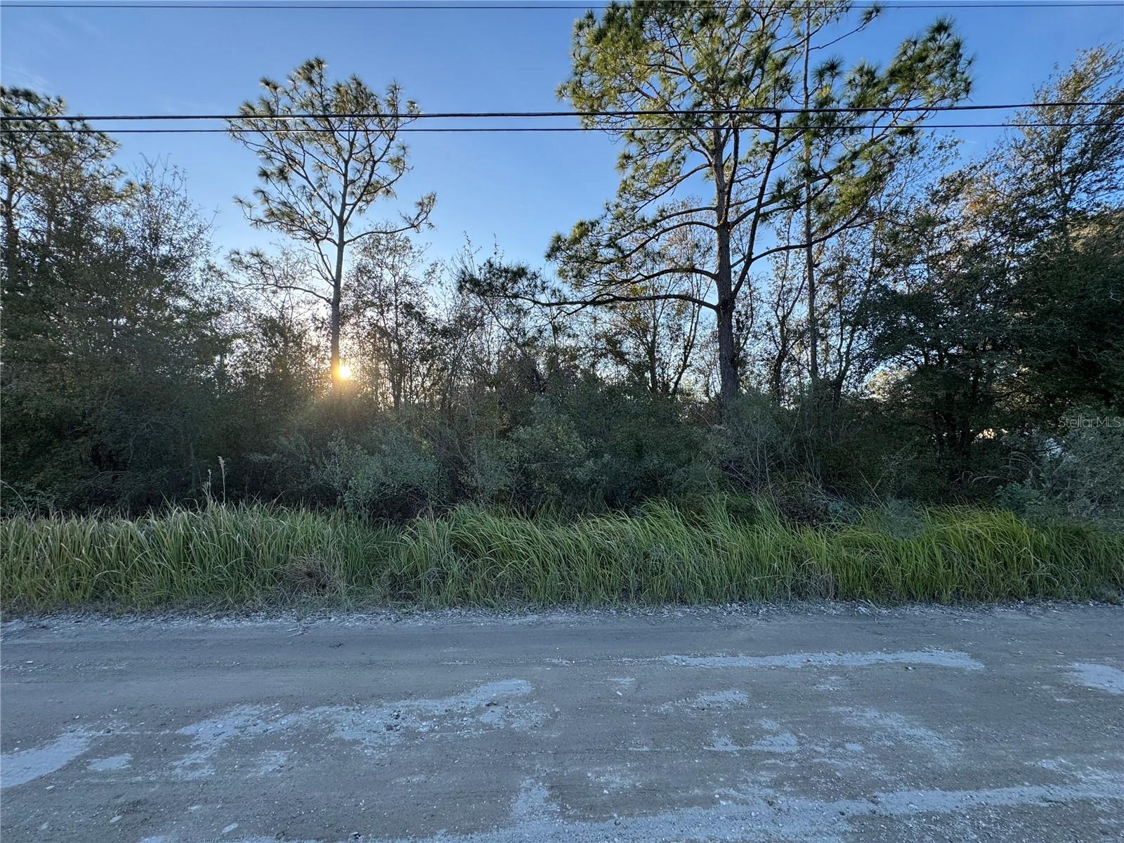 10612 PATHFINDER TRL, LAKELAND, FL, 33809