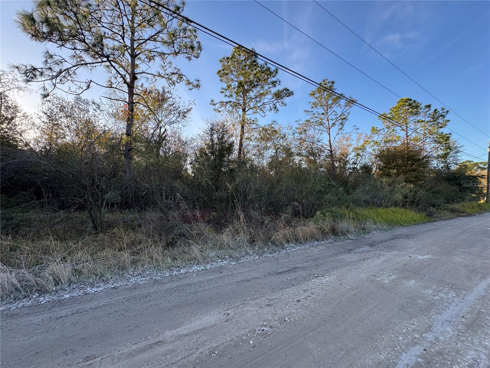 10612 PATHFINDER TRL, LAKELAND, FL, 33809