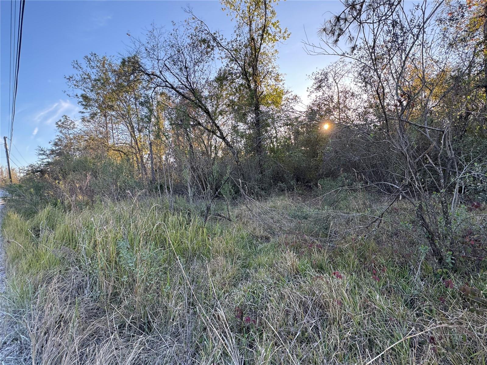 10612 PATHFINDER TRL, LAKELAND, FL, 33809