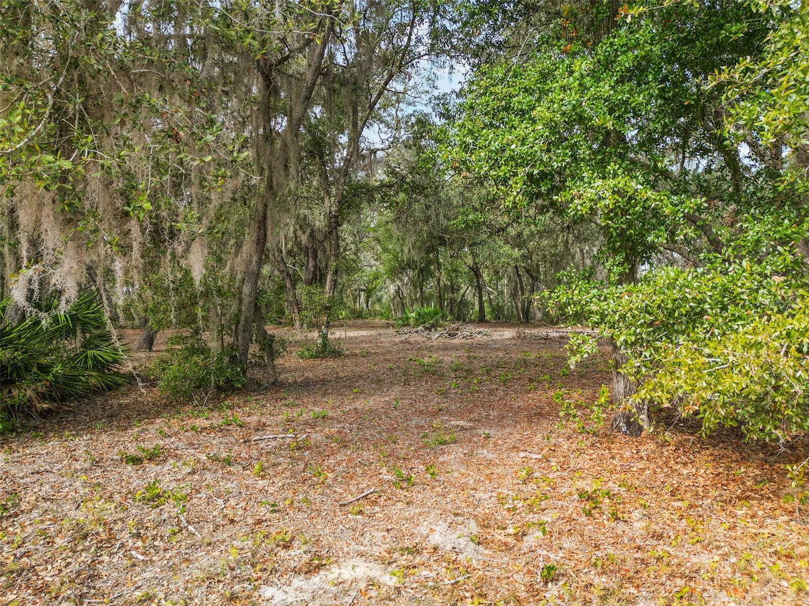 3163 BRIGHT LAKE CIR, GROVELAND, FL, 34736