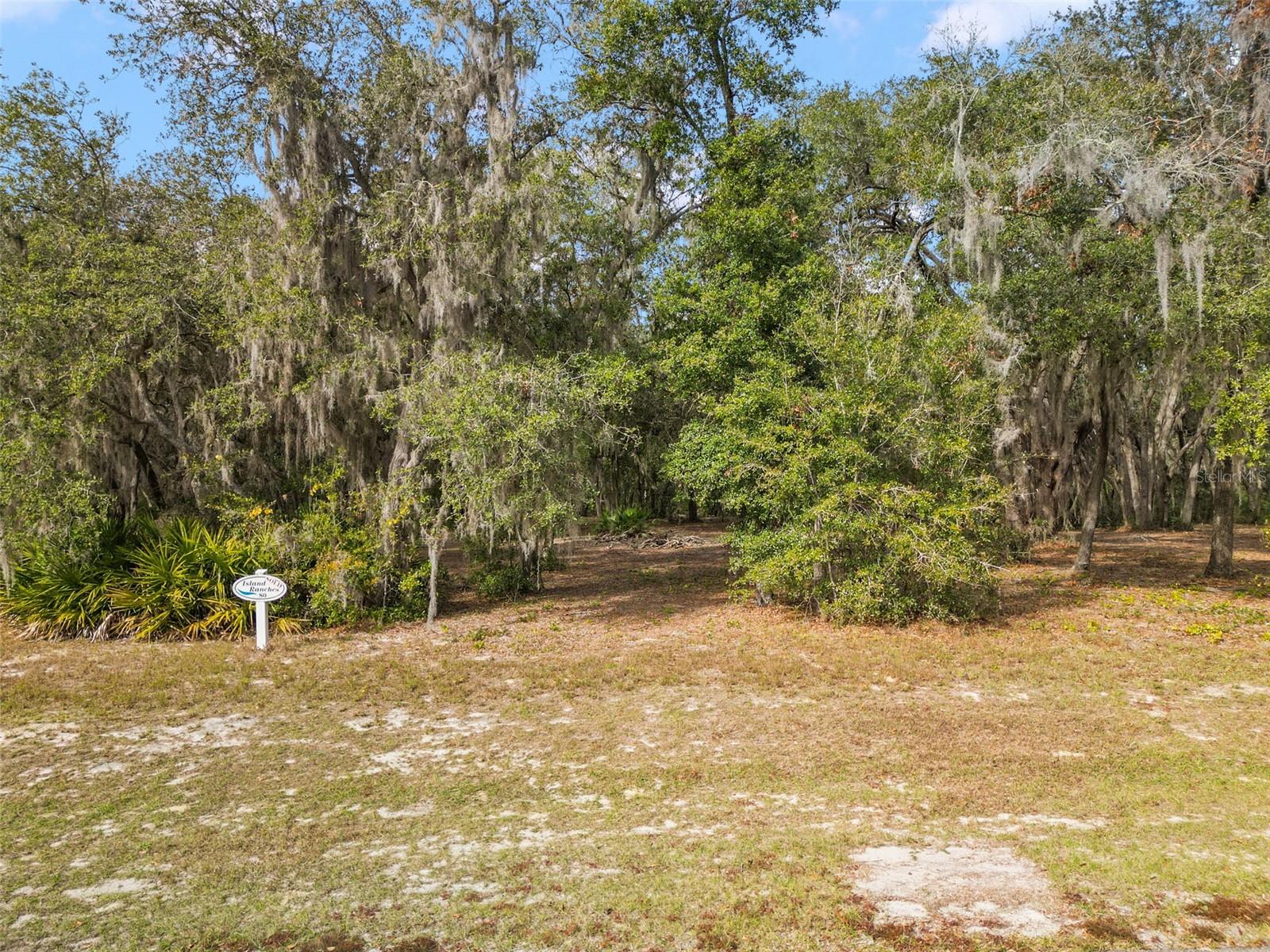 3163 BRIGHT LAKE CIR, GROVELAND, FL, 34736