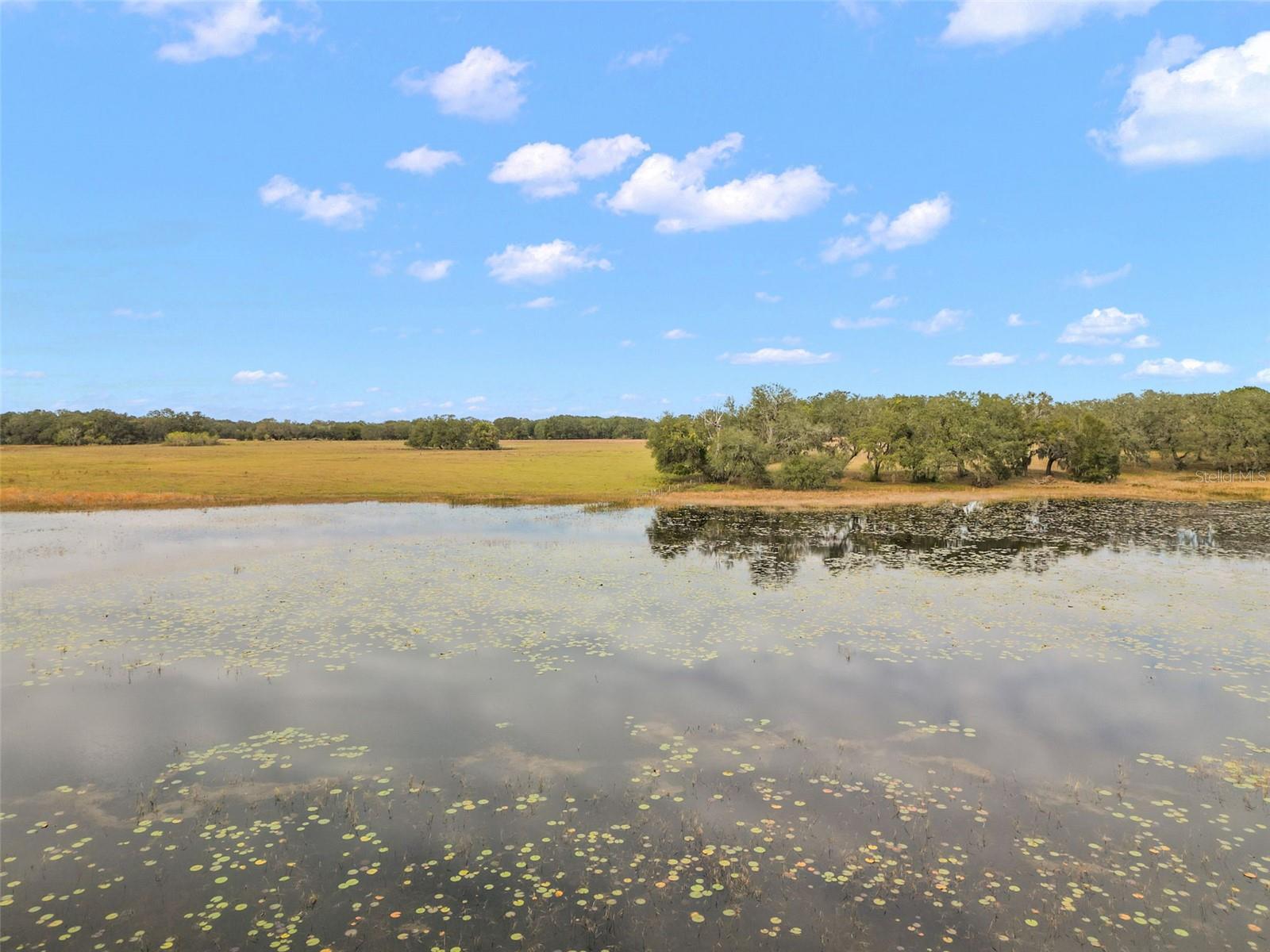 3163 BRIGHT LAKE CIR, GROVELAND, FL, 34736