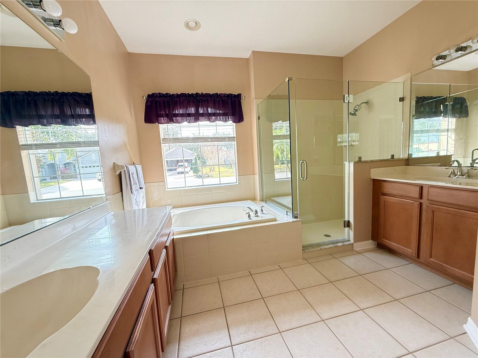 914 SHADOWMOSS DR, WINTER GARDEN, FL, 34787